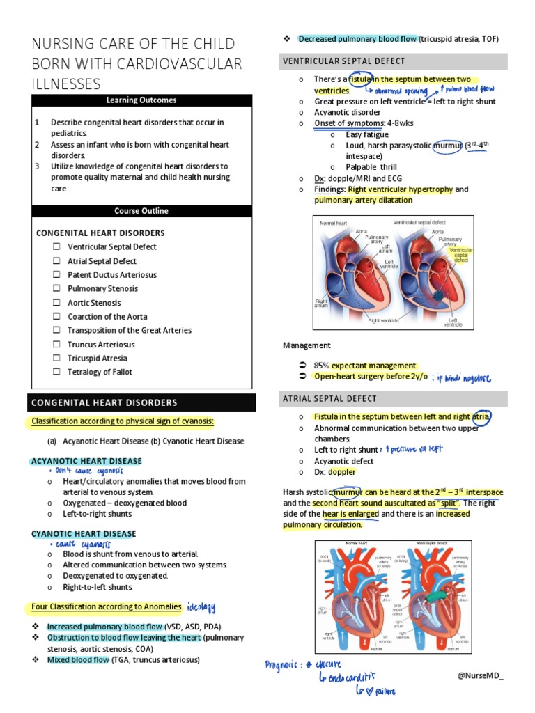 Acute Heart Failure - The Cardiology Advisor, image size:768x1024