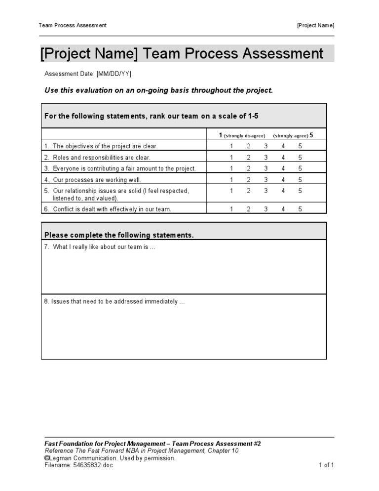 Team Process Assessment 2 | PDF