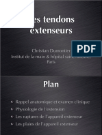3-9 Tendons Extenseurs Cours DIU
