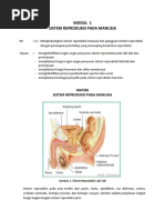 5. IPA 9