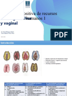 Patologia Vulvar y Vaginal