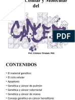 Cáncer Medicina 2018