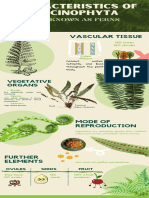 Characteristics of Filicinophyta: Vascular Tissue