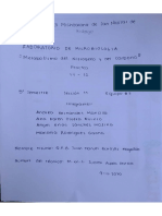 Pruebas bioquimicas de bacterias