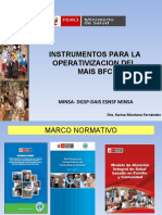 Instrumentos para La Operativizacion Del MAIS BFC. FAMILIOGRAMA Y ECOMAPA