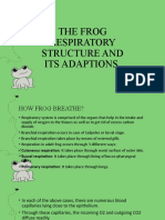 The Frog Respiratory Structure and Its Adaptions