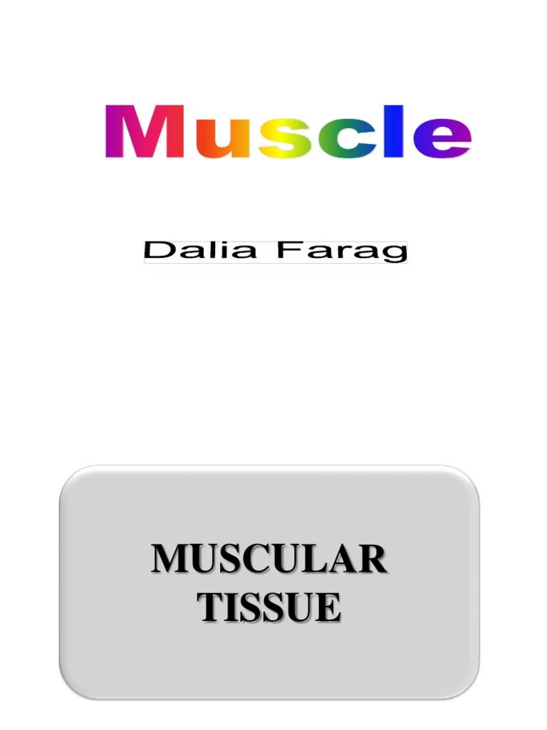 Muscle Lab | PDF