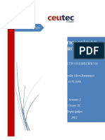 Ejercicios PDG y Objetivos de Investigación