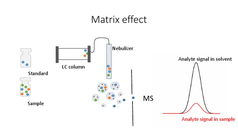 Understanding Matrix Effects in Analysis | PDF