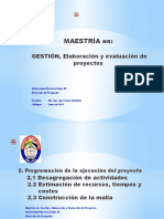 Program Ejecuciòn Del Proyecto