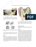 Clinical Significance of Dental Anatomy, Histology, Physiology, and Occlusion