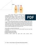 Bahan Sistem Endokrin