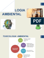 Toxicologia Ambiental Exposicion 