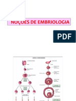 AULA 12 Embriologia