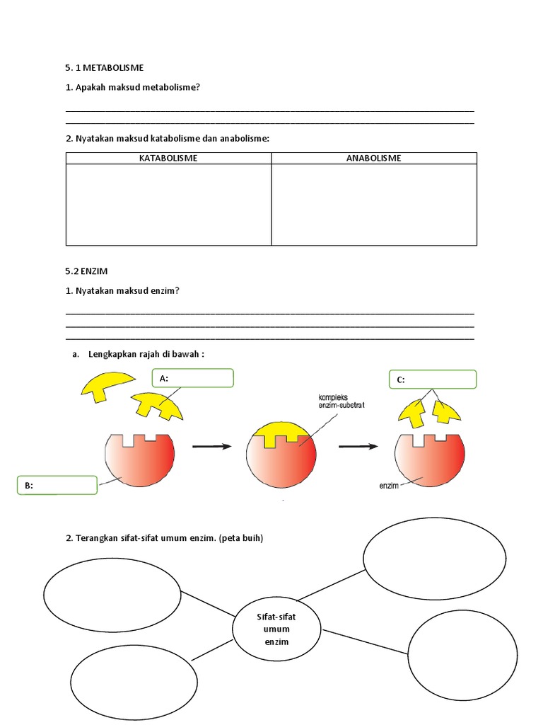 Bab 5 | PDF