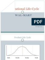 Organizational Life Cycle A 15