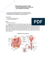 LKPD Alat Reproduksi Pria