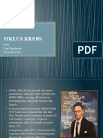 Siklus Krebs