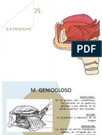 Musculos de La Lengua