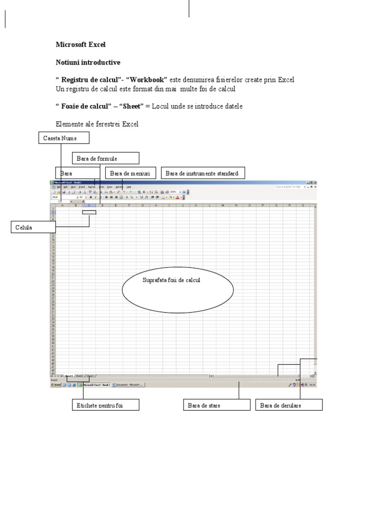 Microsoft Excel Curs 1 | PDF