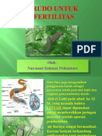 Hyrudo Untuk Infertilitas