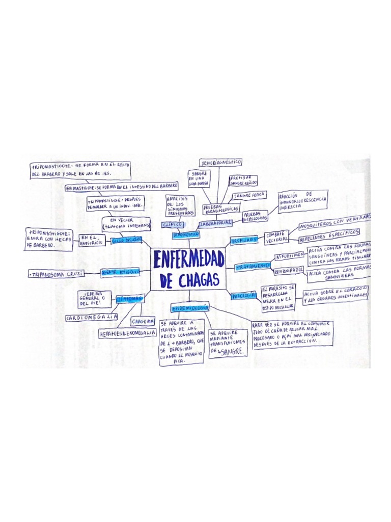 Mapa Conceptual Enfermedad de Chagas PDF