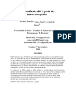 Extracción de ADN A Partir de Muestras Vegetales