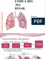 Bioquimica Sistema Pulmonar 