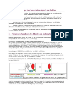 Immunophénotype Des Leucémies Aiguës Myéloïdes