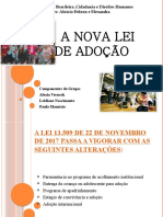 A Nova Lei de Adoção (Slides)