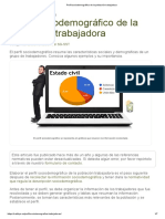 Perfil Sociodemográfico Población Trabajadora SAFETYA