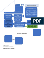 JUICIO EJECUTIVO DIAGRAMA (1)