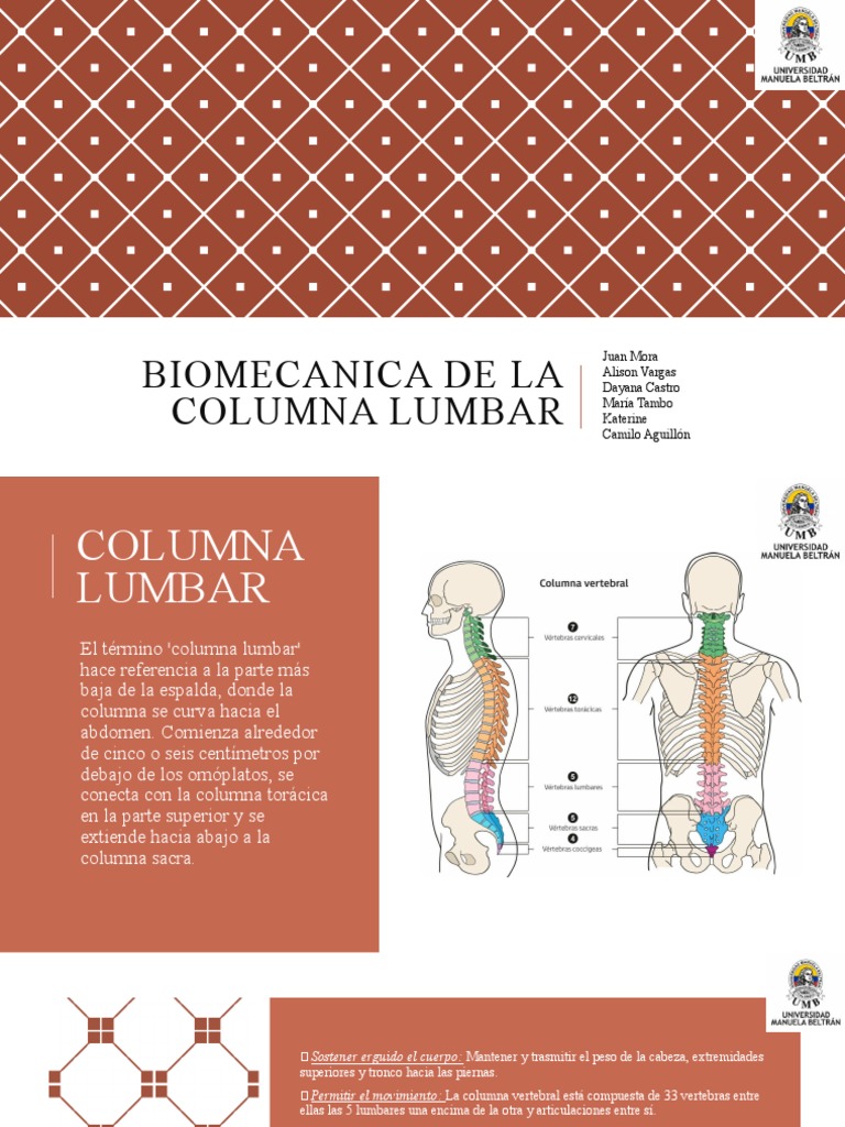 Biomecanica de La Columna Lumbar | PDF | La columna vertebral | Pelvis