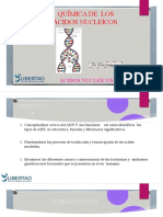 Quimica de Los Acidos Nucleicos