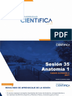 Semana+9 Sesión 035 Anatomía+1 CCII USCUR 2021