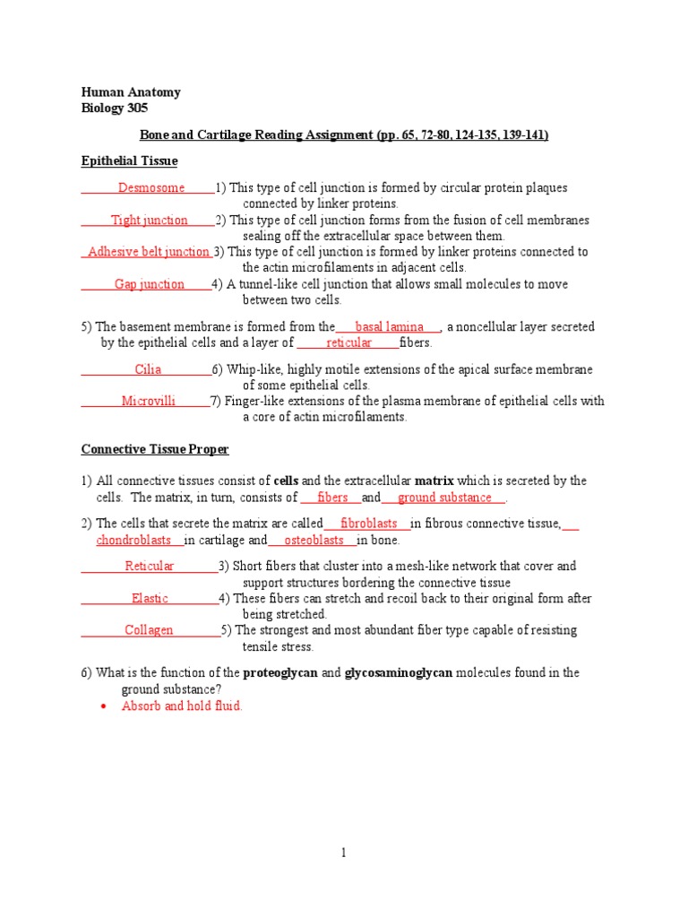 1 - Bone and Cartilage Reading (Key) | PDF | Cartilage | Bone