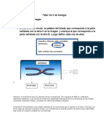 Taller No 5 de Biología