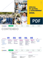 Informe de Gestion y Sostenibilidad 2020