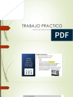 TRABAJO PRACTICO Gestion Del Capital Huamano