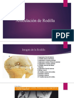 Articulación de Rodilla