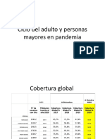 Ciclo Del Adulto y Personas Mayores en Pandemia