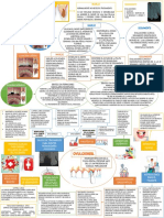 Mapa Mental Dani PDF