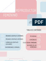 Sistema Reproductor Femenino Final