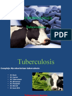 5. Tuberculosis y Brucelosis