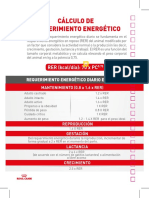 Calculo de Requerimiento Energético (Felinos)