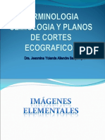 3 Terminologia Ecografica