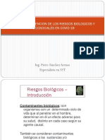 Diapositivas Analisis y Prevencion de Los Riesgos Biologicos y Psicosociales en Covid 19 (1)