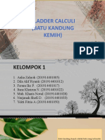 Bladder Calculi