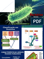 Bactérias 2020 -PDF - 1° Ciclo