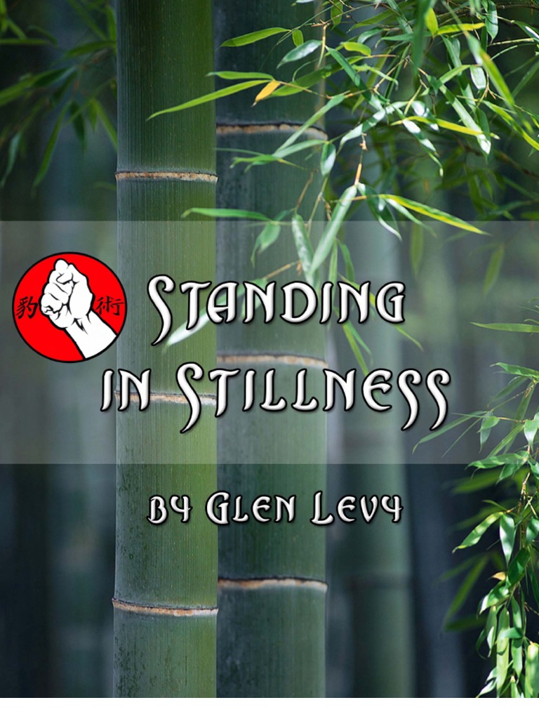 Standinginstillness 9 Coretechniquesbyglenlevy | PDF